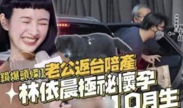 晨妈最新消息爆料,揭秘娱乐圈最新动态